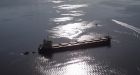 Vancouver oil spill removed from water, coast guard says