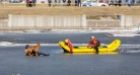 Firefighters rescue man who jumped into icy canal to save dog