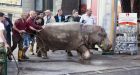 Lons, bears, wolves and a hippo are among dozens of animals on the loose in the streets of Tbilisi
