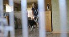 Michigan Woman Frisked, Jailed, For Not Renewing Dog License