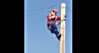 Caught on camera: Cat rescued from top of power pole in forest fire zone