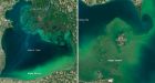 Great Lakes grow neon green with algal bloom, NASA photos show