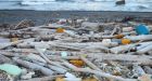 Alaska shoreline cleanup makes small dent in marine garbage