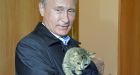 Vladimir Putin confirms Russian military involvement in Syria's civil war