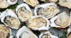 B.C. raw oyster ban lifted by Vancouver Coastal Health