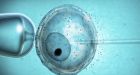 IVF embryos to be genetically manipulated as scientists investigate repeated miscarriages