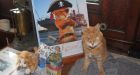 Tabby cat who caught mice aboard CSS Acadia lauded at Halifax retirement party