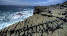 Mistaken Point being evaluated in UNESCO World Heritage bid