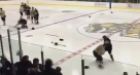 Minor hockey league bench-clearing brawl involving coaches caught on video