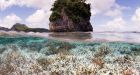 Devastating coral bleaching spreads worldwide due to climate change, El Nino | CTV News