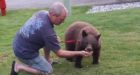 B.C. man uses dog leash to corral blind bear cub