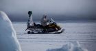 Google Street View team hits the ice to capture Arctic wildlife