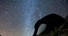 Quadrantid meteor shower to peak Sunday night. Heres how to watch it