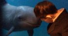 False killer whale befriends 10-year-old boy