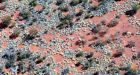 Rare 'fairy circles' discovered in Australia