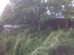 IMG00059