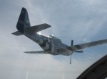 L-39 with P-51