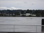 DSC00041