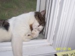 Taz being camera shy LOL now this is a first!